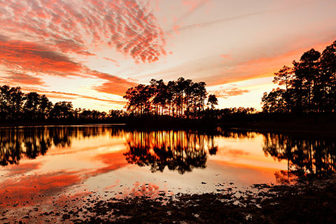 Long Pine Key Lake at Sunset, Everglades National Park, Florida, USA. Everglades National Park is a U.S. National Park in Florida that protects the southern 20 percent of the original Everglades